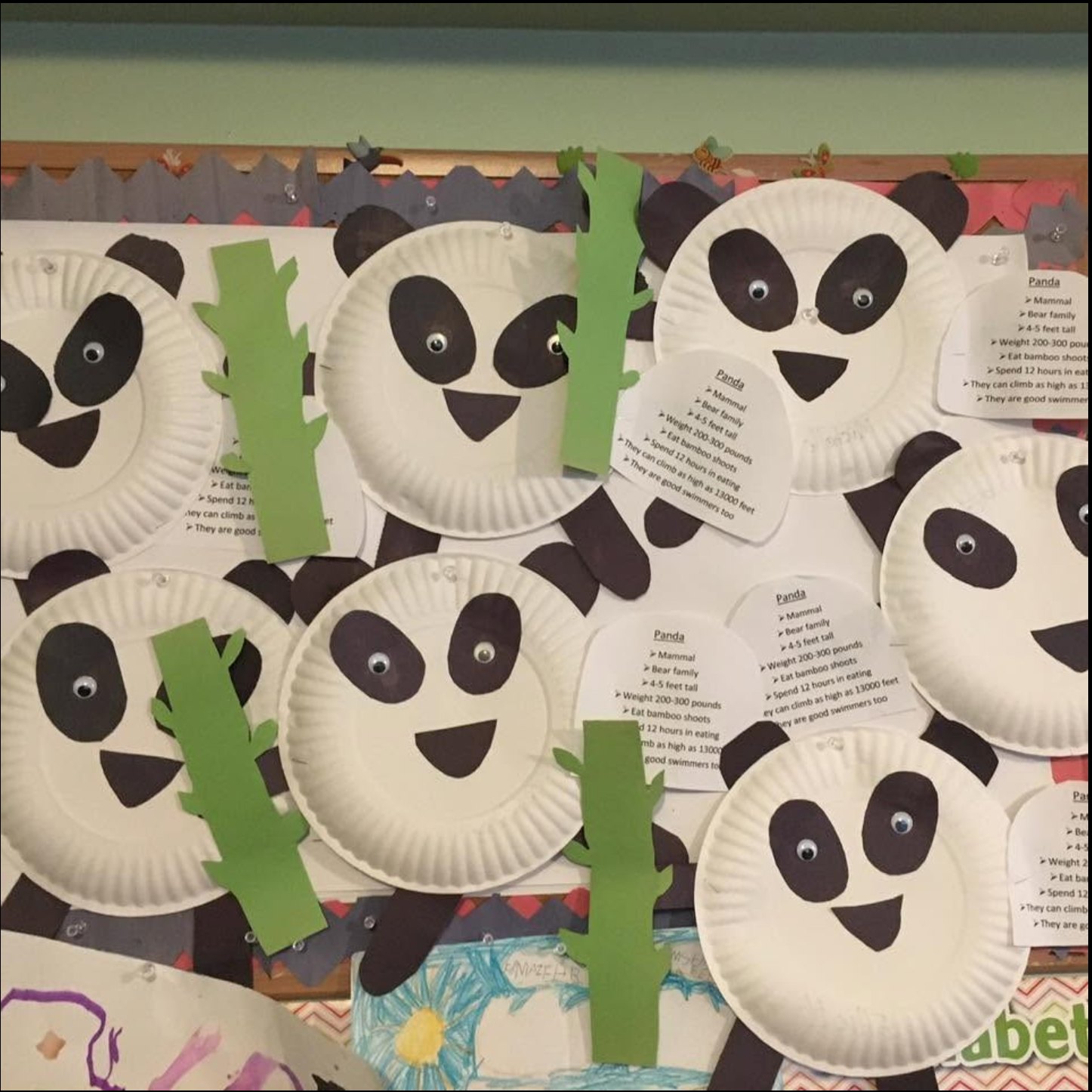 A wall of panda paper-plate crafts made by the children